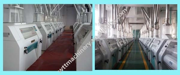 Multifunctional Grain Maize Rice Wheat Corn Roller Flour Milling Mill